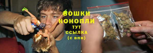 гидра Осинники