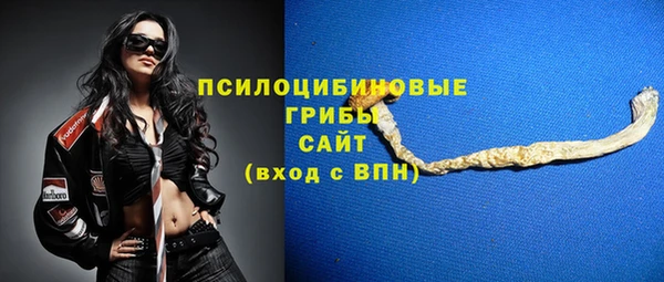 гидра Осинники