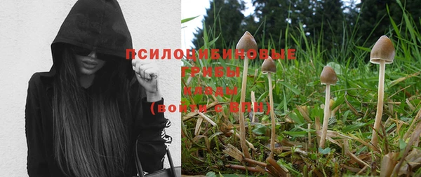 гидра Осинники