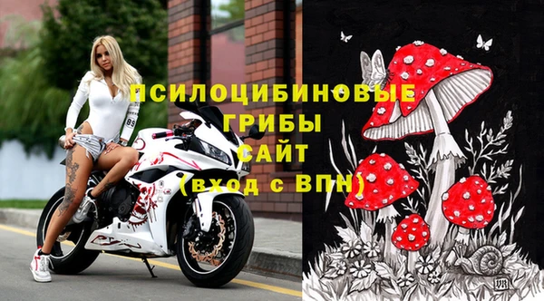 гидра Осинники